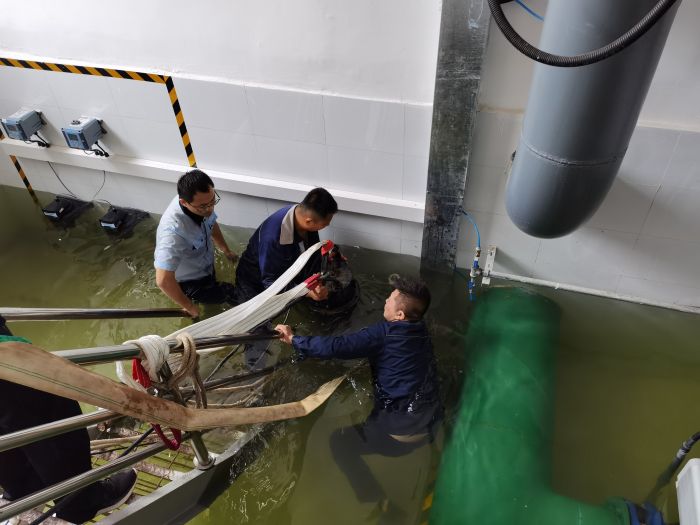 Ѵ鴵푛_h̖(ho) ^(zhn)һ@ɫ (8).jpg